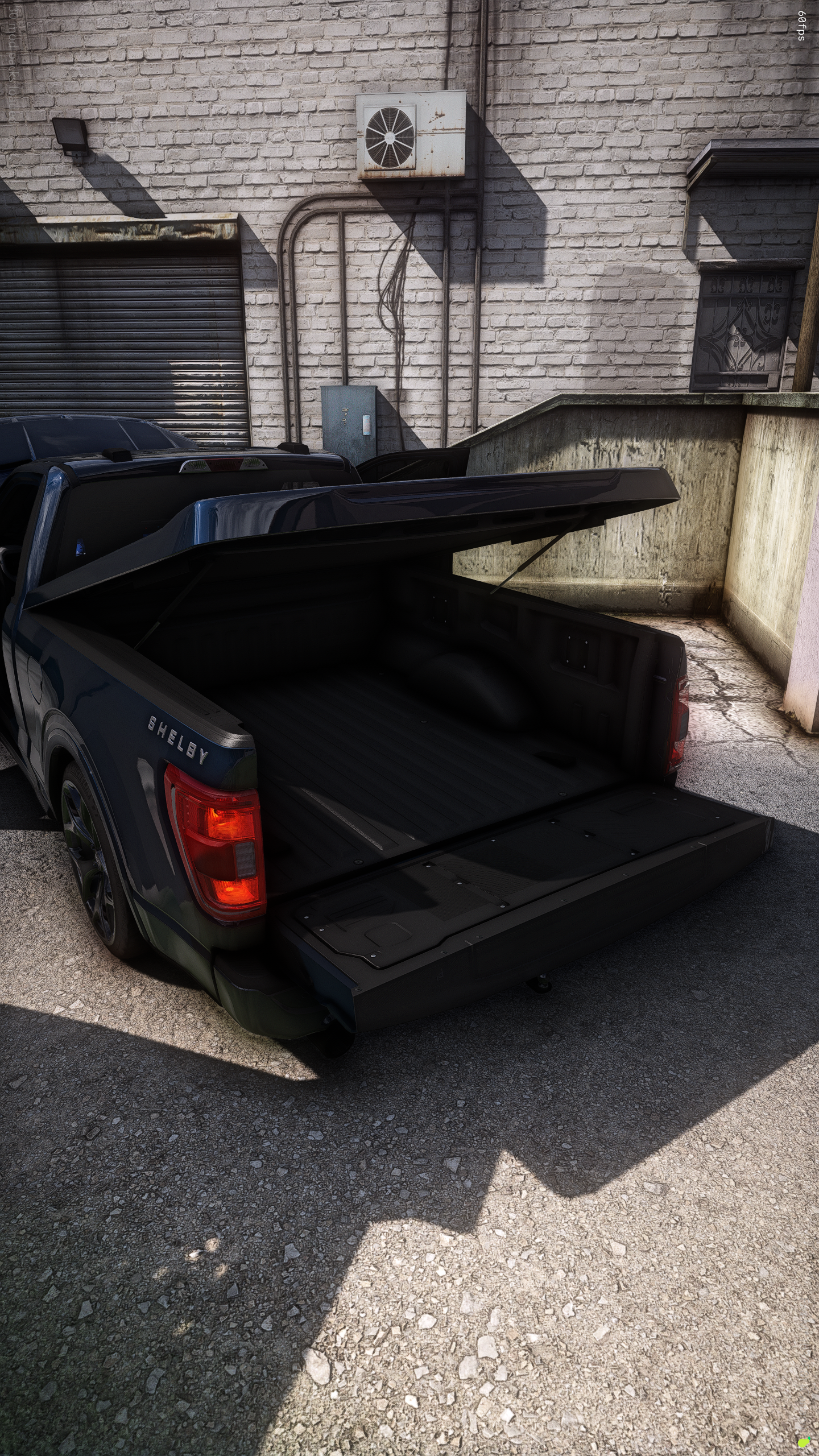 curxed23shelbysc