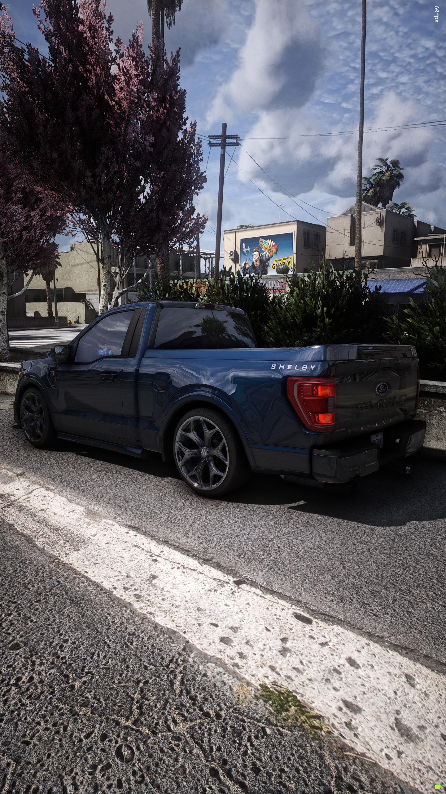 curxed23shelbysc