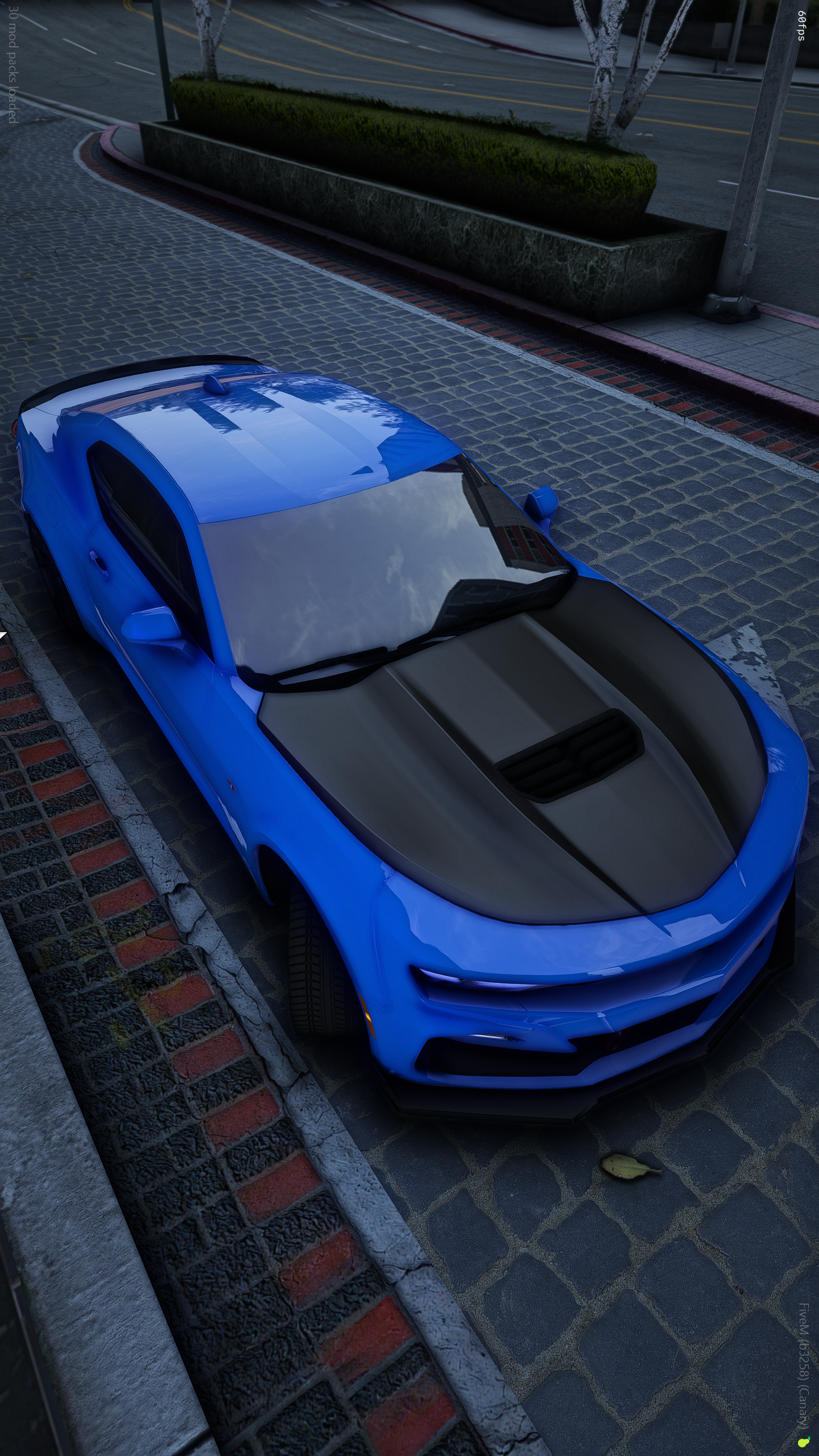 Curxed23ss1le
